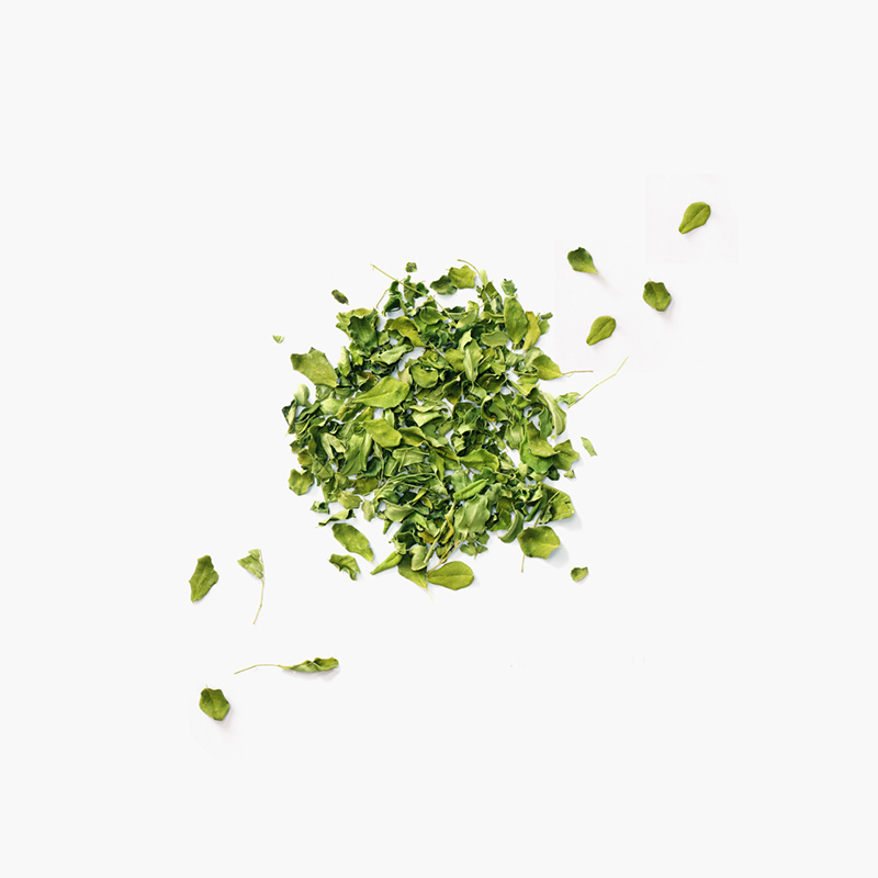 Turmeric Shield Tisane